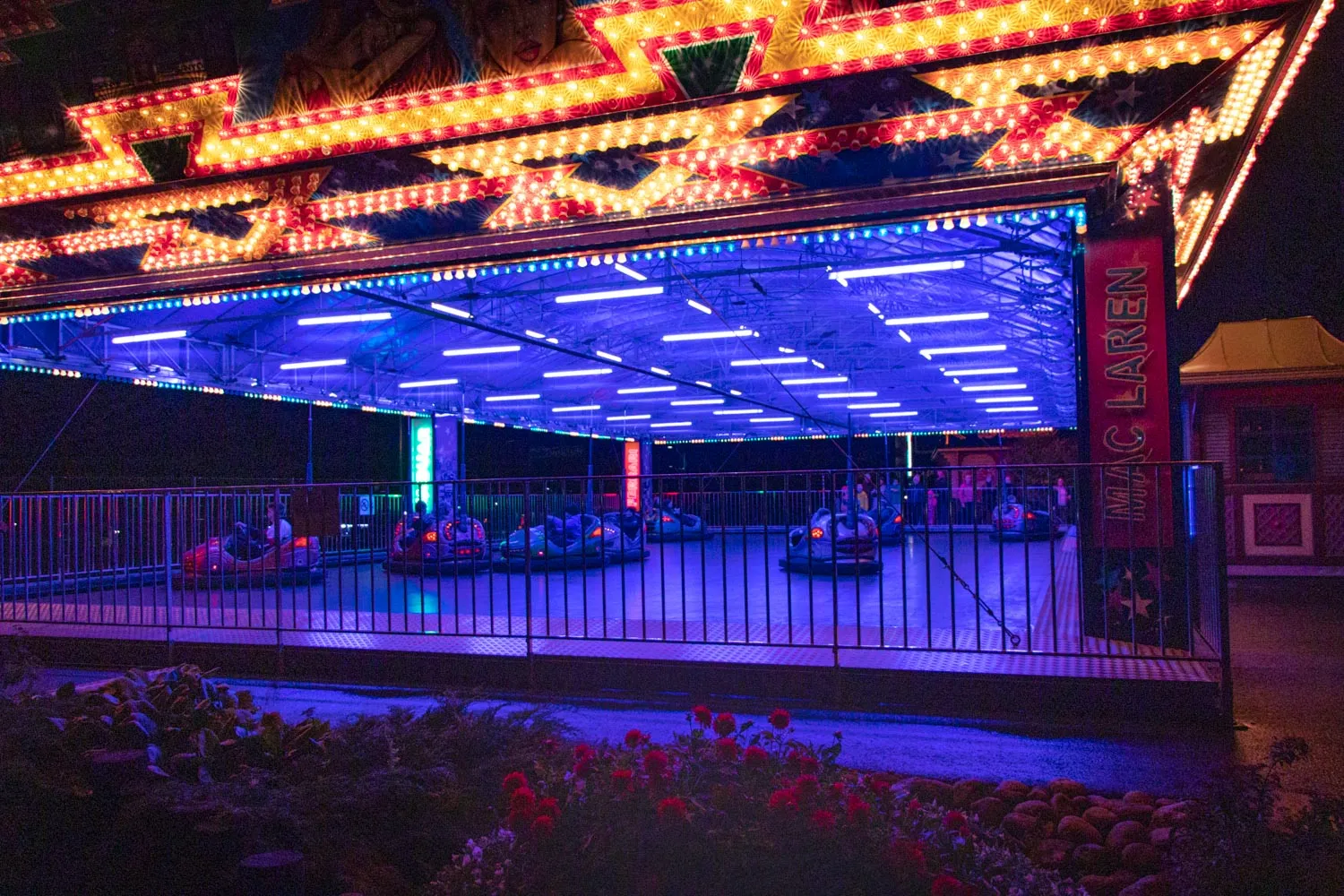 Bumper Cars
